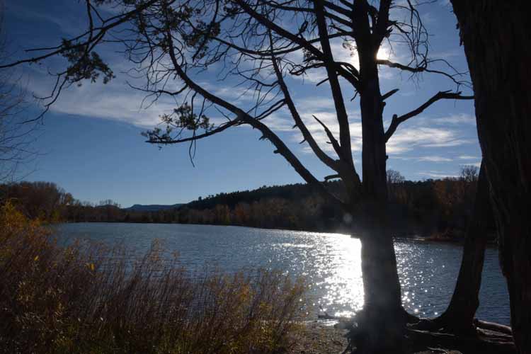 lake scene